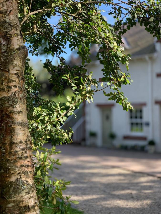 The Ghillie Bed & Breakfast Melrose Eksteriør bilde